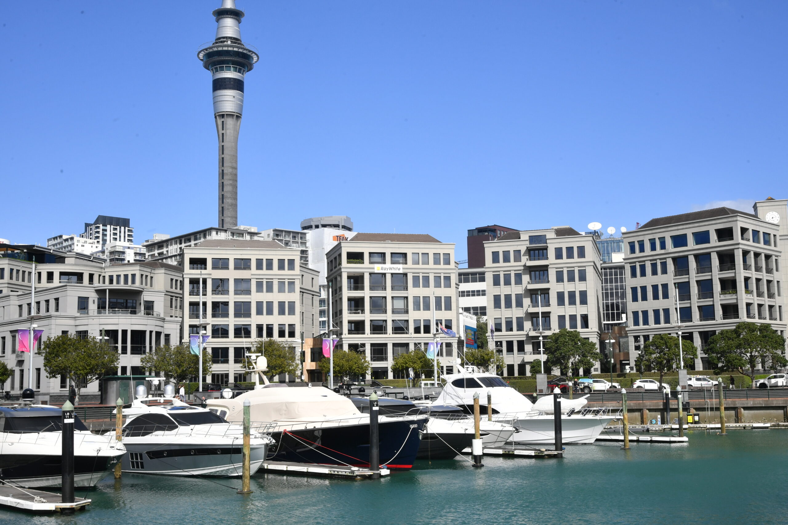 shore-facing view of 10 and 12 Viaduct Harbour, part of the Harbour Collection by Alberts